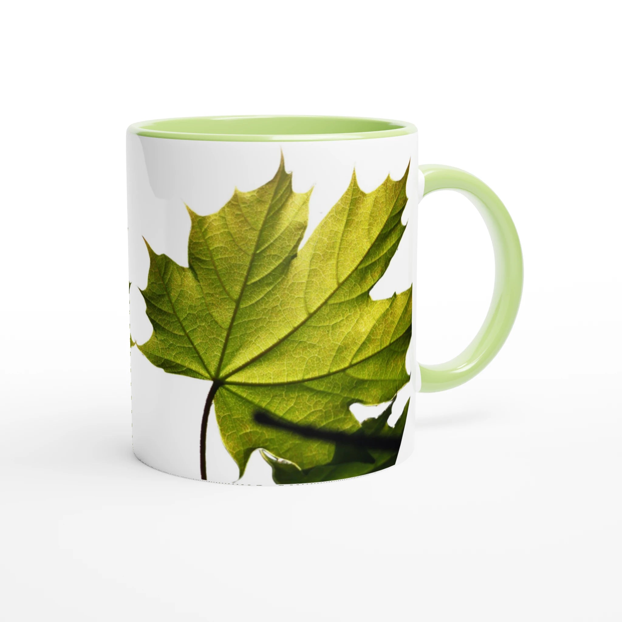 c509e402-bee3-440c-8641-623e362d5579