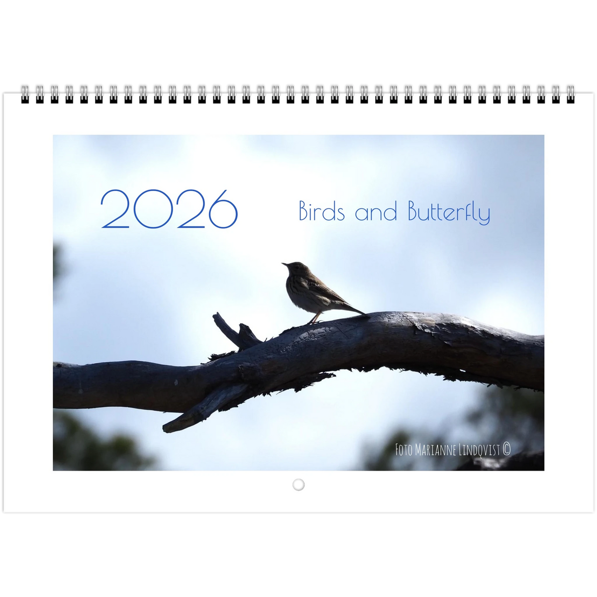 d5e6de0b-374a-4193-8f12-b3cd286ea4f1