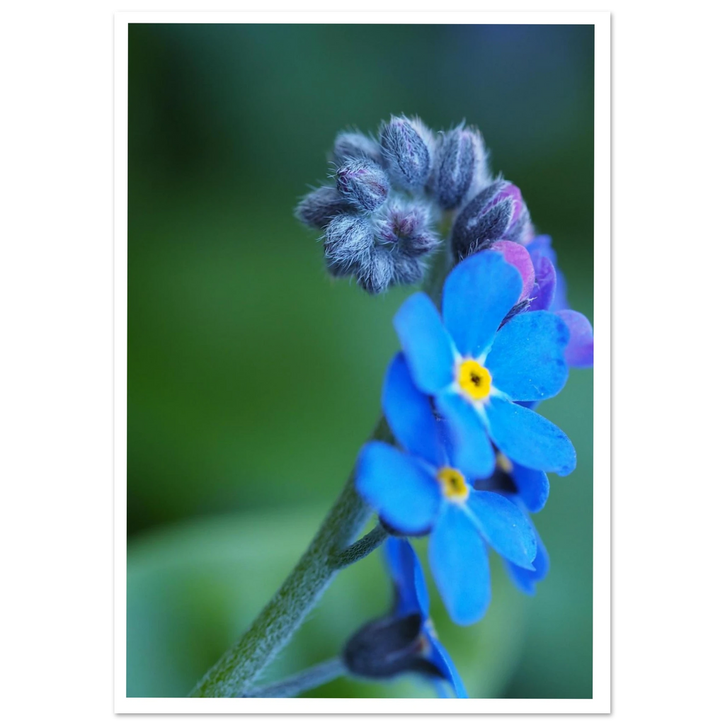 daf9f0f0-1ca3-4595-a687-ae2a1aa45792