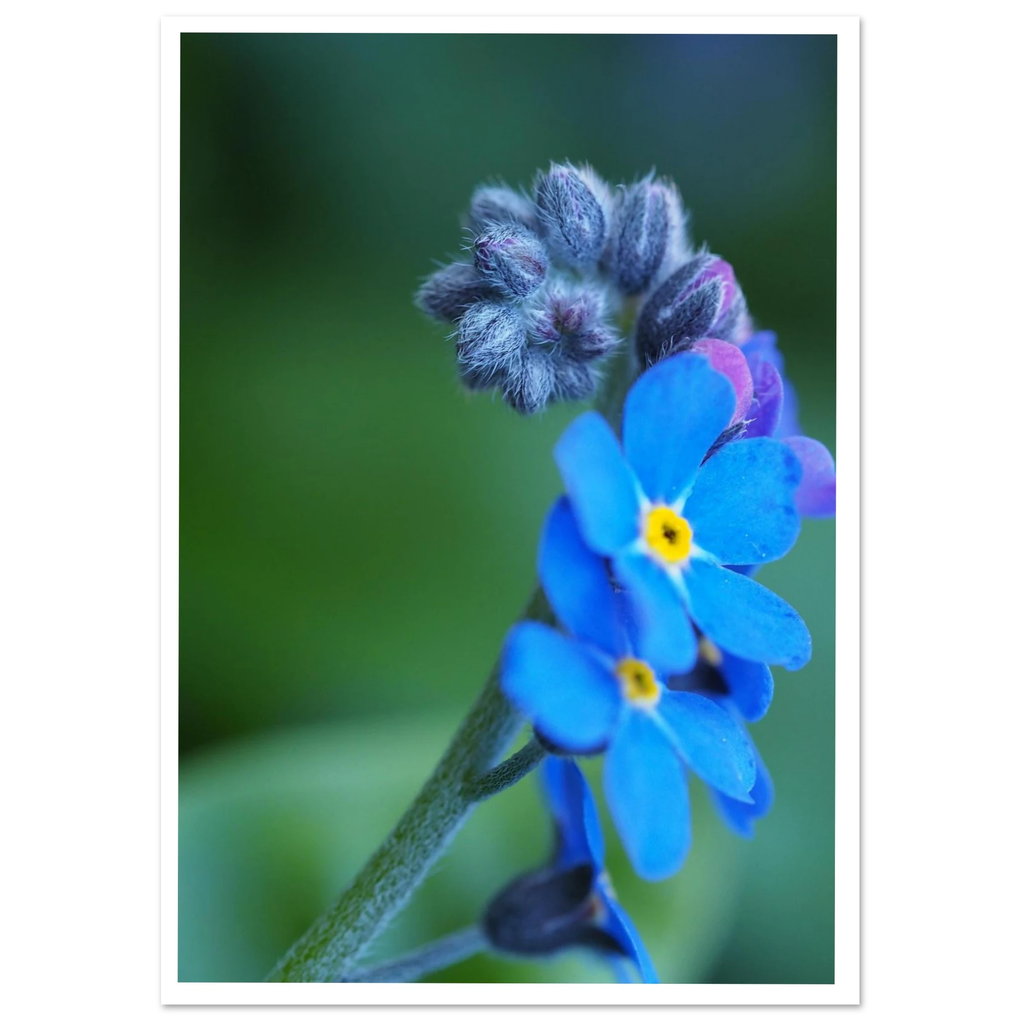 daf9f0f0-1ca3-4595-a687-ae2a1aa45792