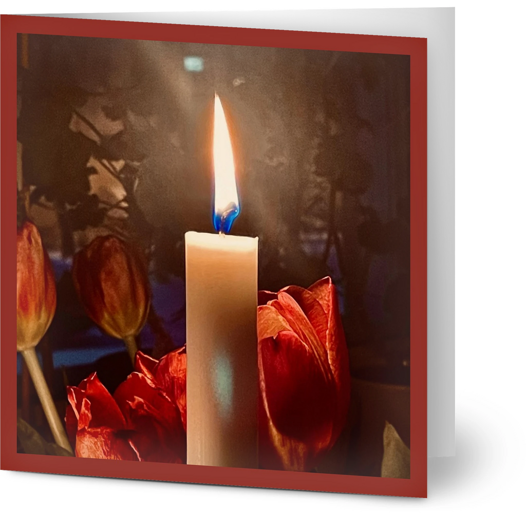 dd3479c0-631c-4807-b6fe-5aca8393bbb3