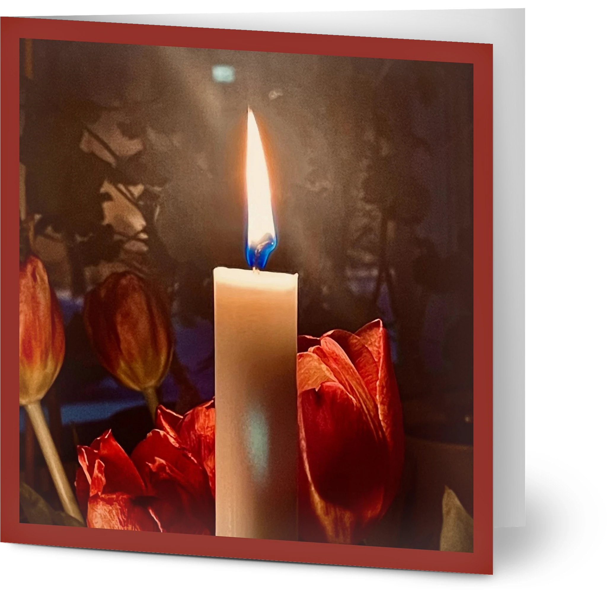 dd3479c0-631c-4807-b6fe-5aca8393bbb3