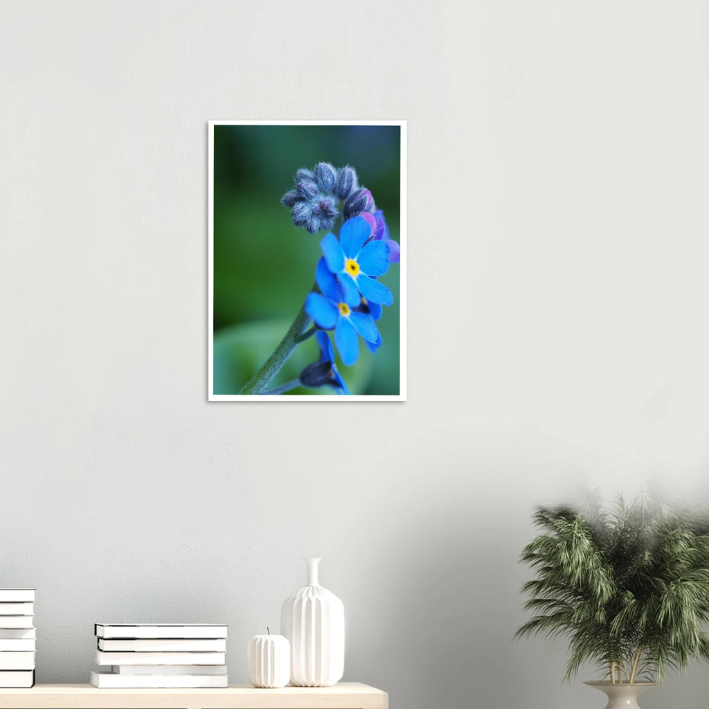 df52d369-db6a-474f-b93e-ed1f7fcf4a4d