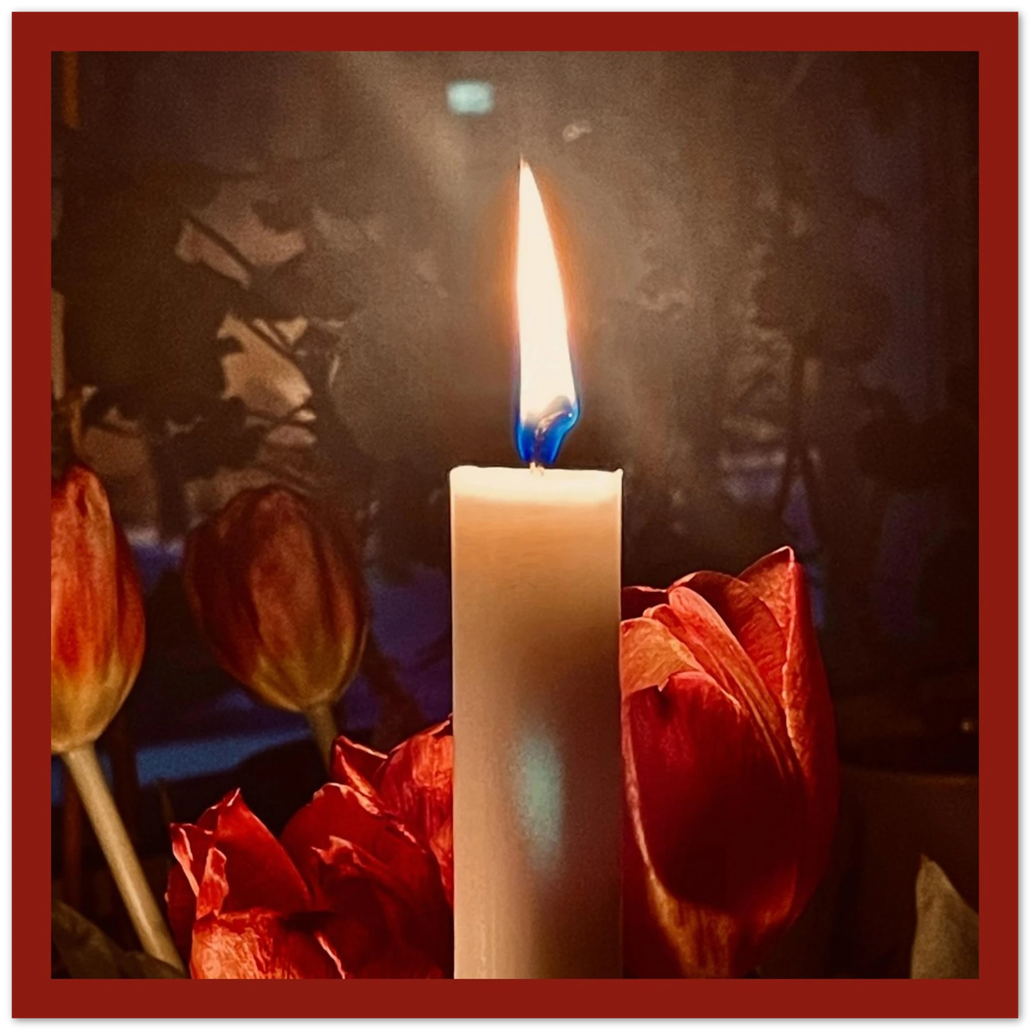 e2803c12-fe71-4e63-8783-940d0529956c