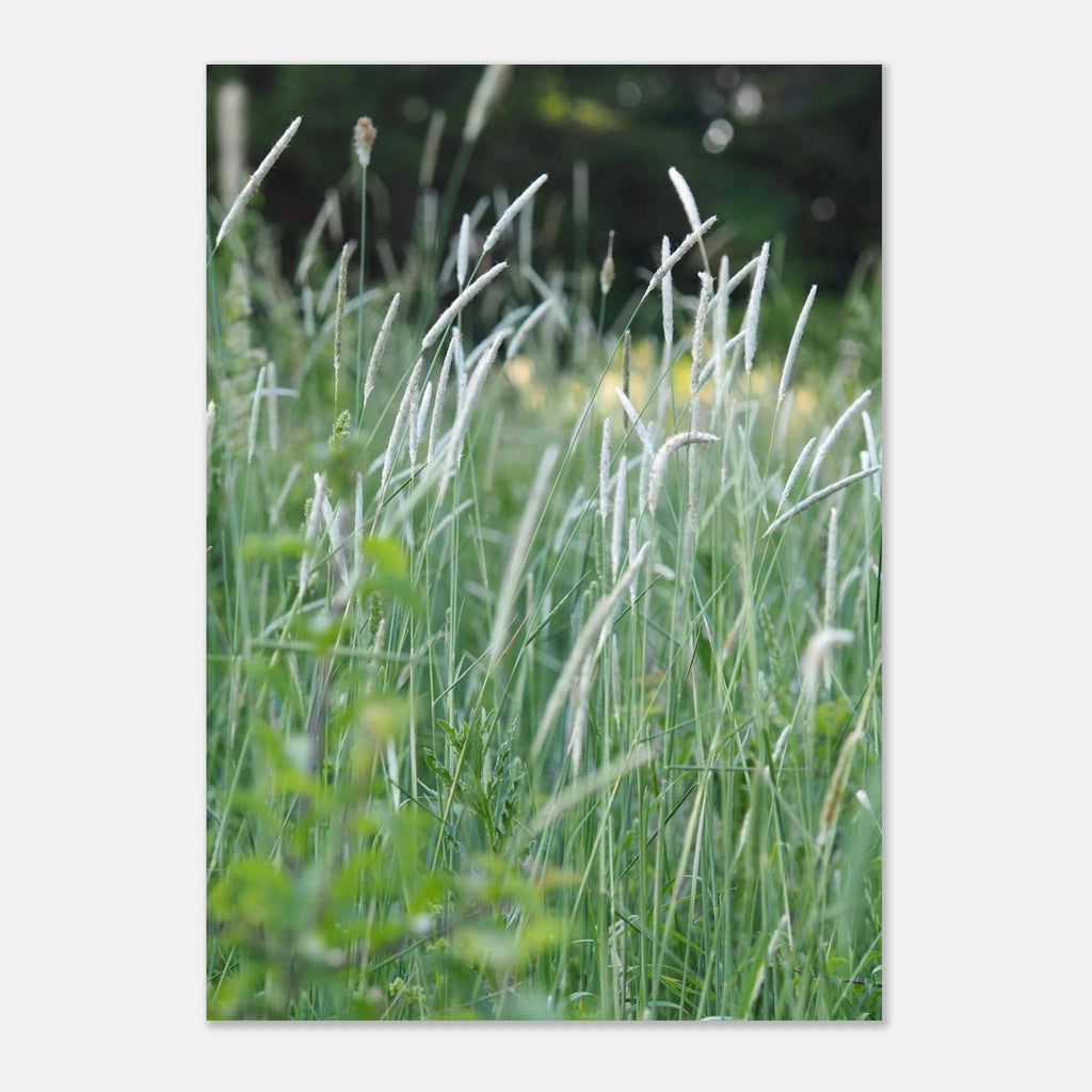 e73083e8-6774-465b-bc2f-b2311ba735d0