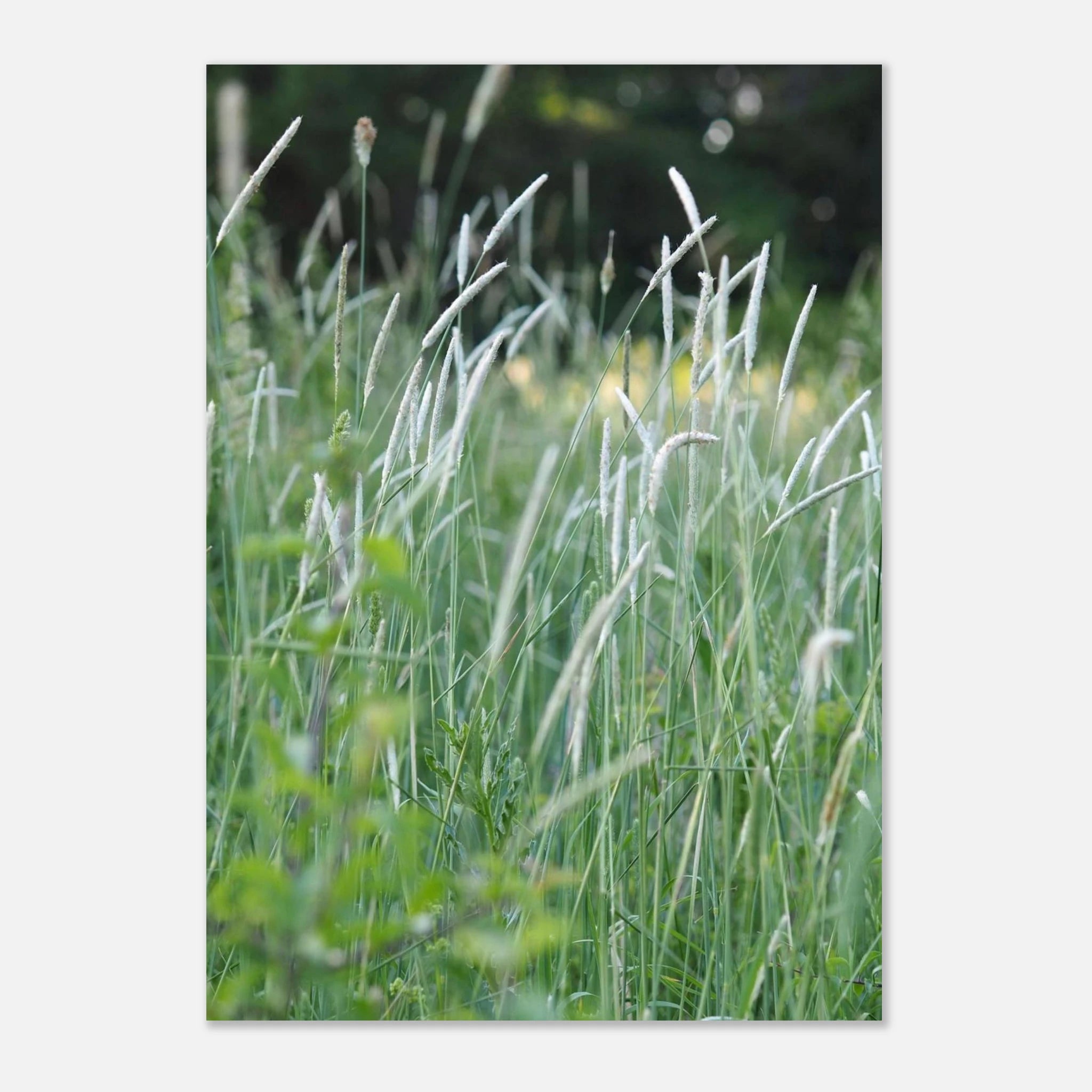 e73083e8-6774-465b-bc2f-b2311ba735d0