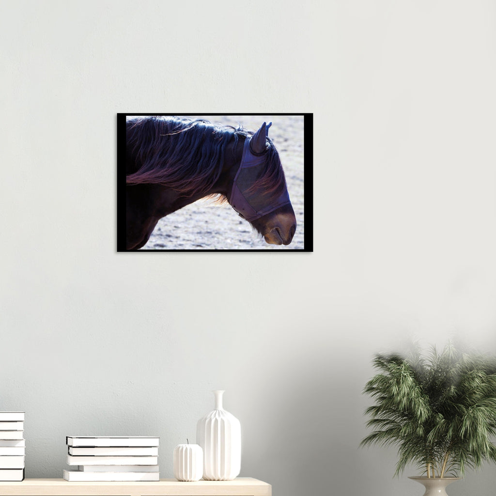 eb9123ba-07fb-46d4-887f-b94f9ae72a61