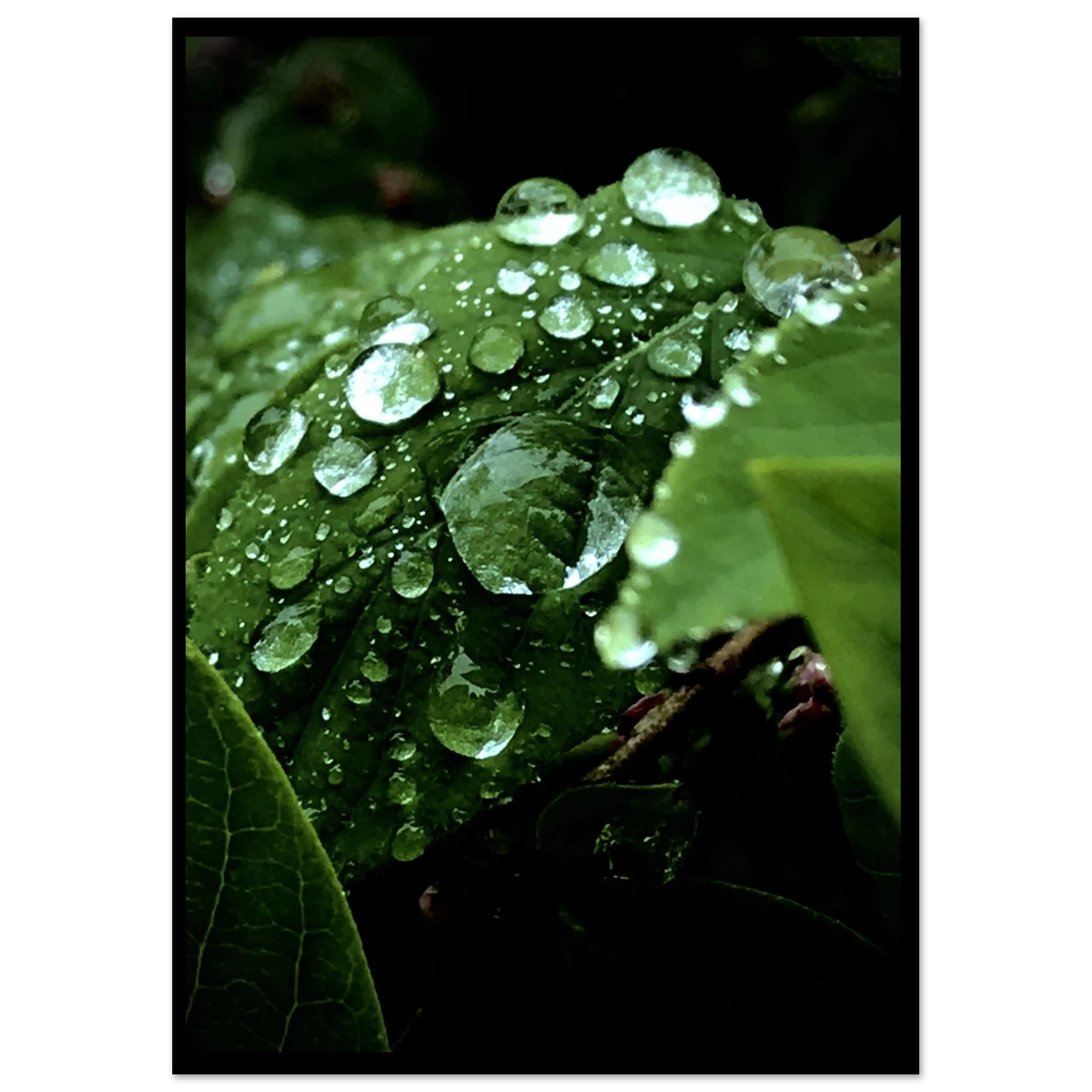 f4efddc9-4619-4698-bc53-3dcfd0256796