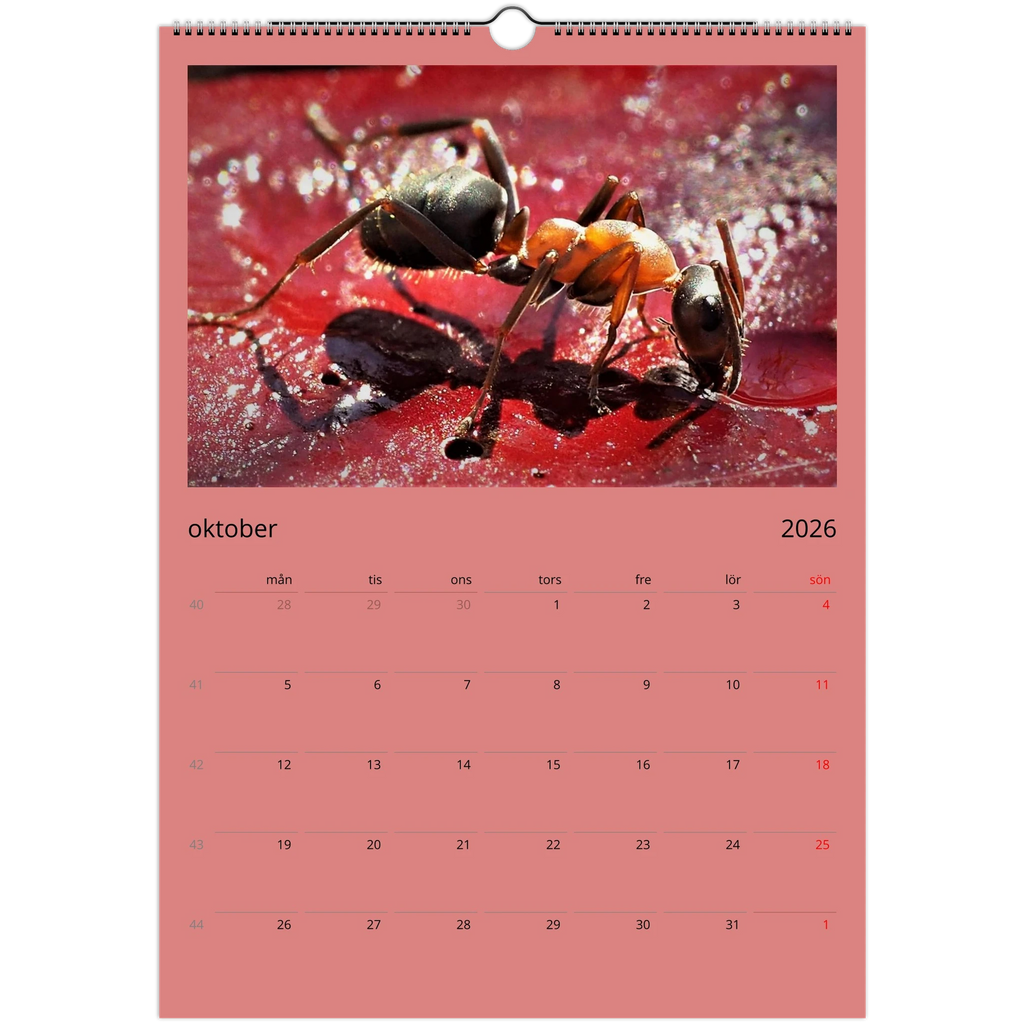 f5b49334-eceb-4d7e-a24f-a838f85312d5