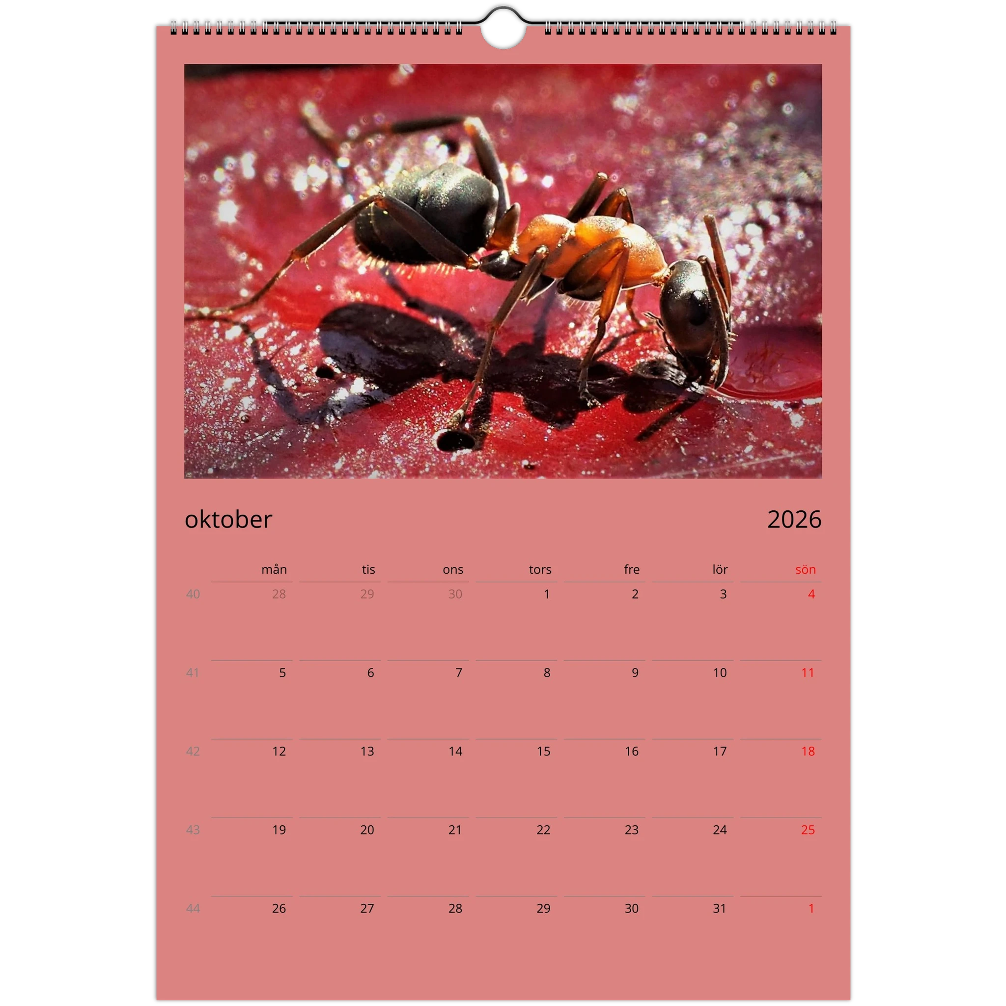 f5b49334-eceb-4d7e-a24f-a838f85312d5