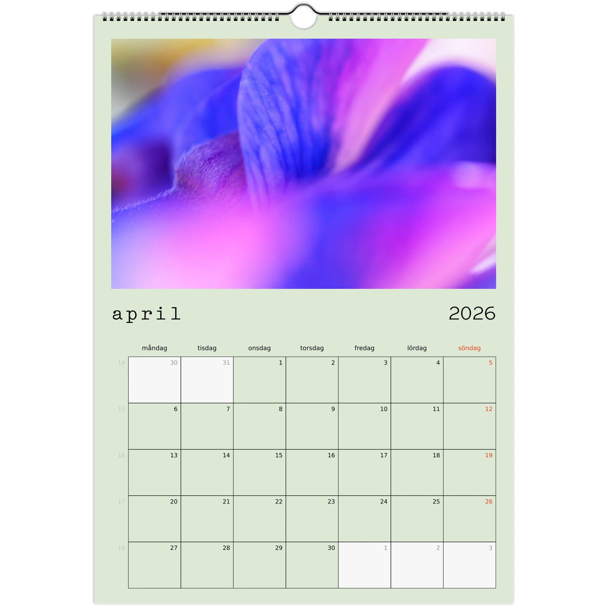 f803864a-5e38-4169-bec2-590b0b9de0bb