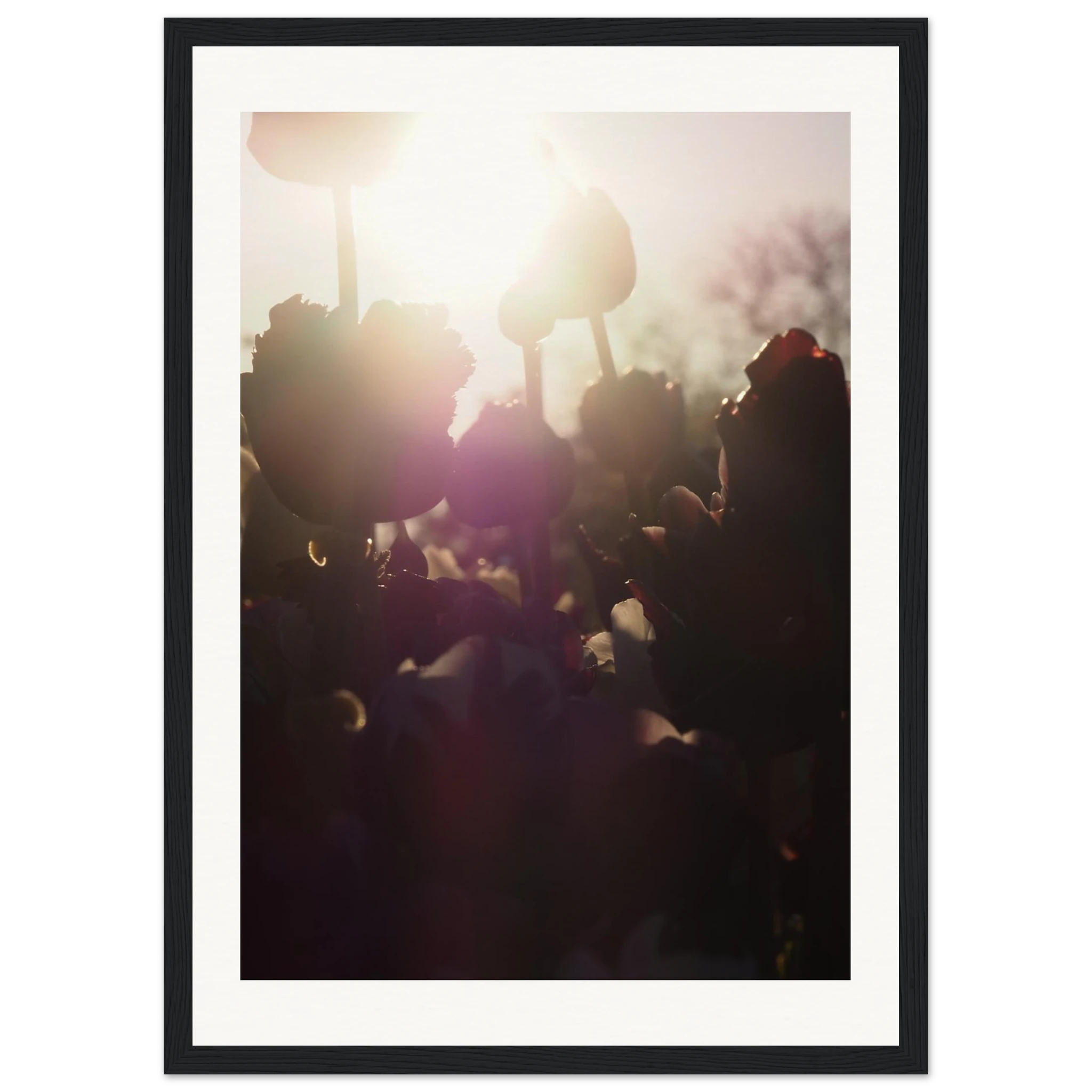 f8b7242c-1f9b-4856-a12c-38a7332cc2d1