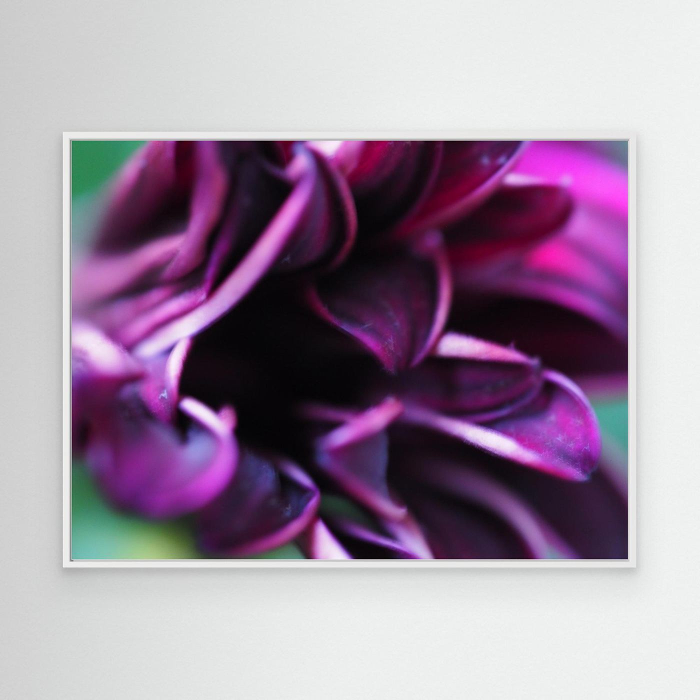 Purple love
