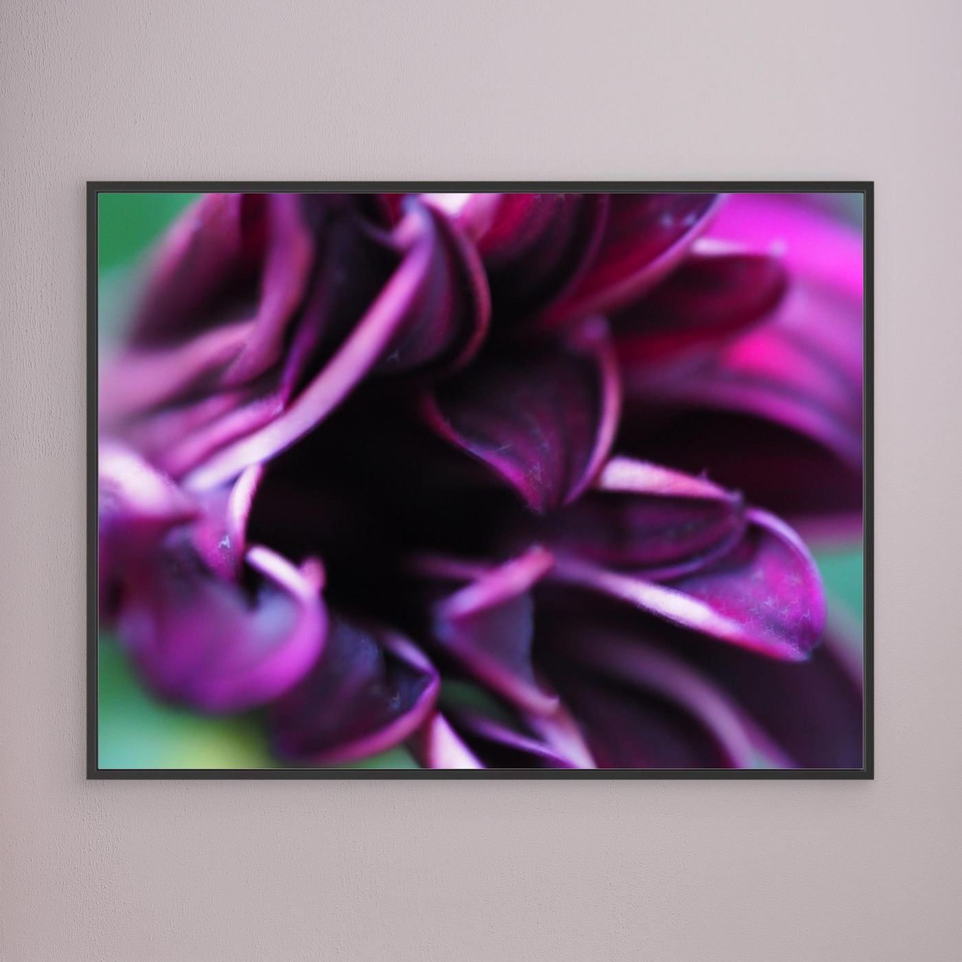 Purple love