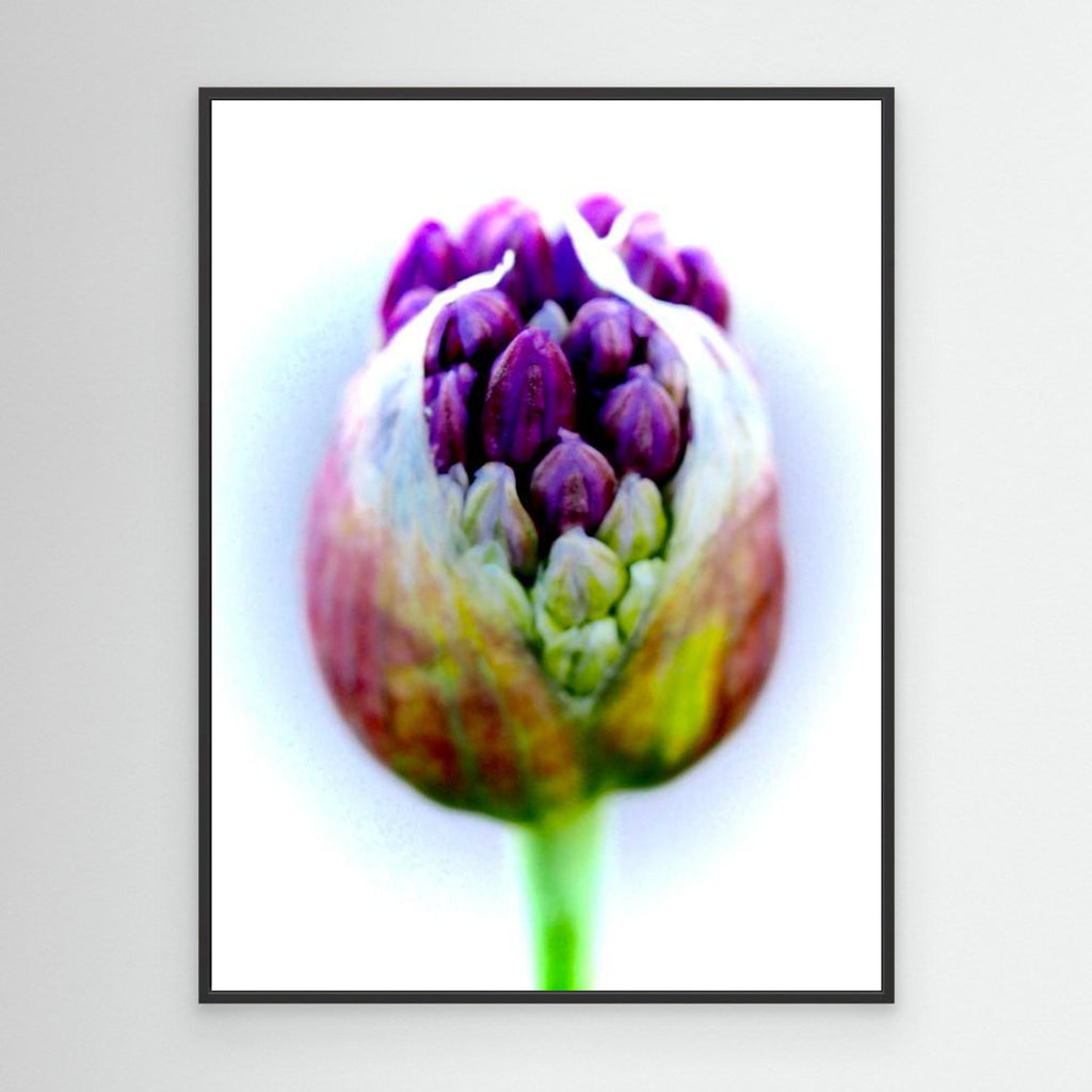 onion