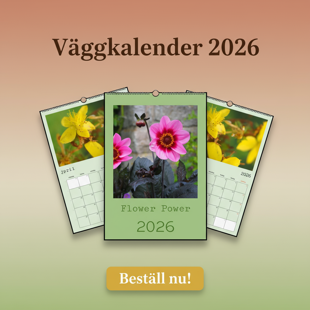 Väggkalender 2026 Banner